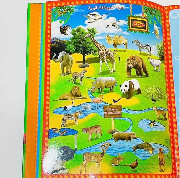 4 in 1 Learning Book For Kids